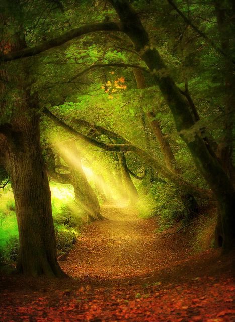 __Earthposts's tweet photo. https://t.co/AKORawvGiQ
