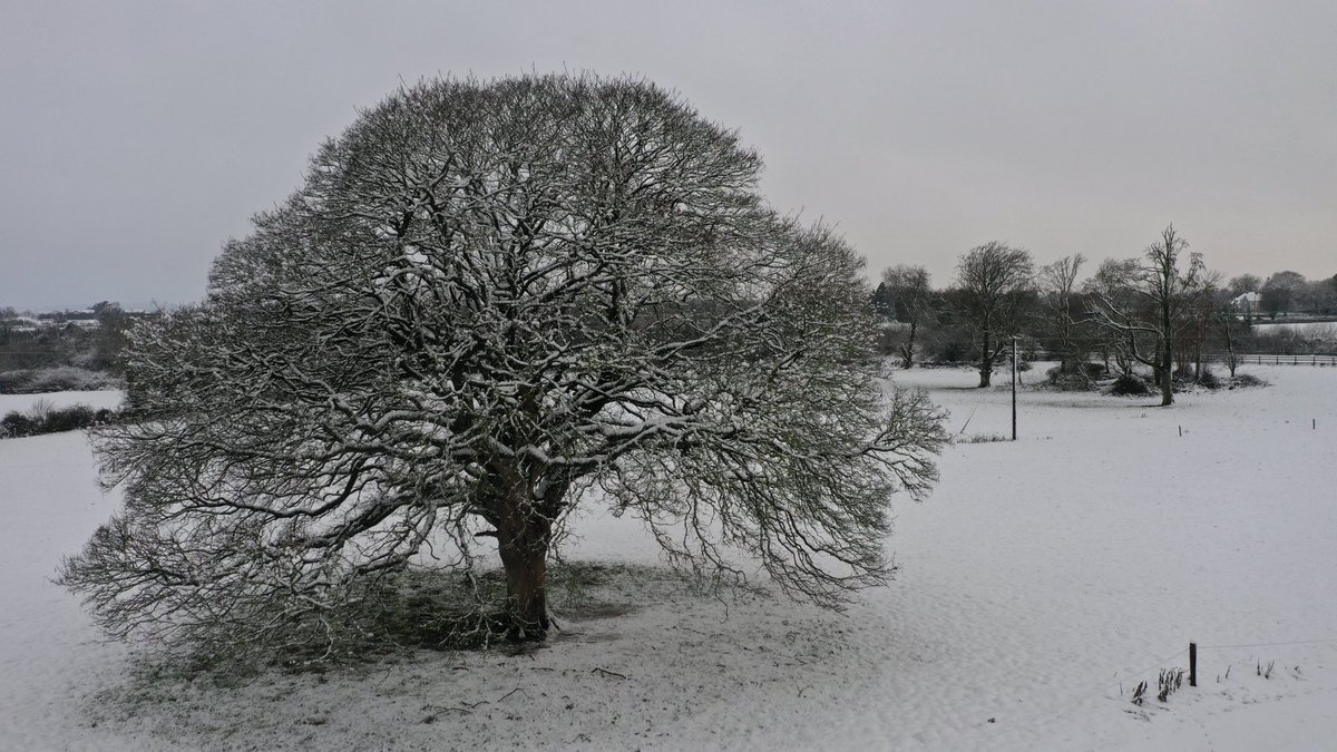 Robert Healy tweet media