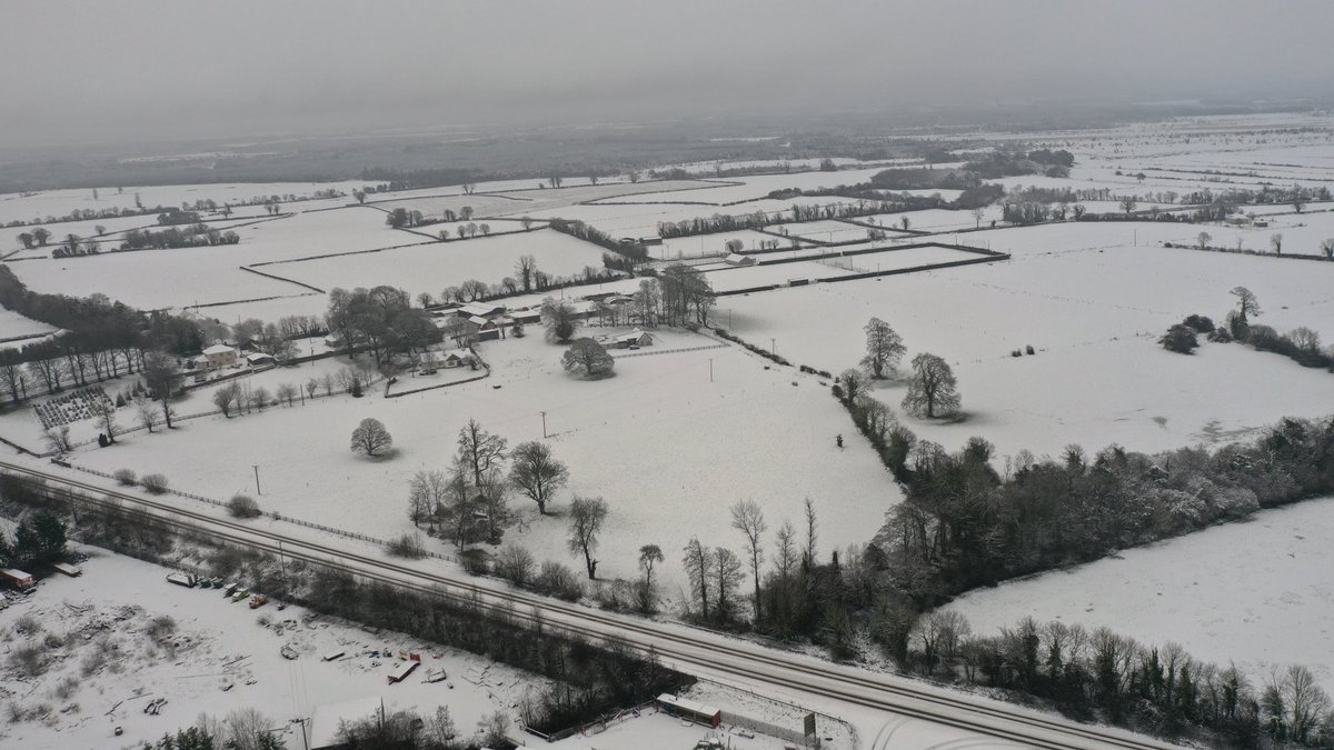 Robert Healy tweet media