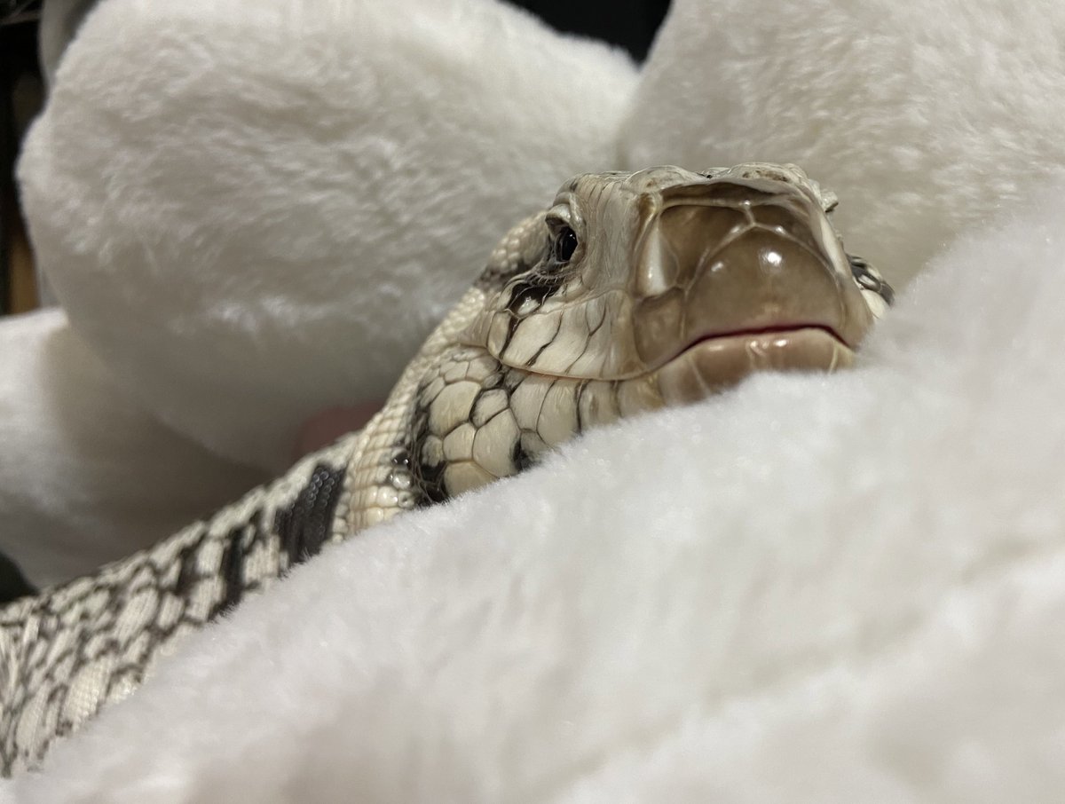 いつも可愛いね

（寝惚けているので何も考えていません）