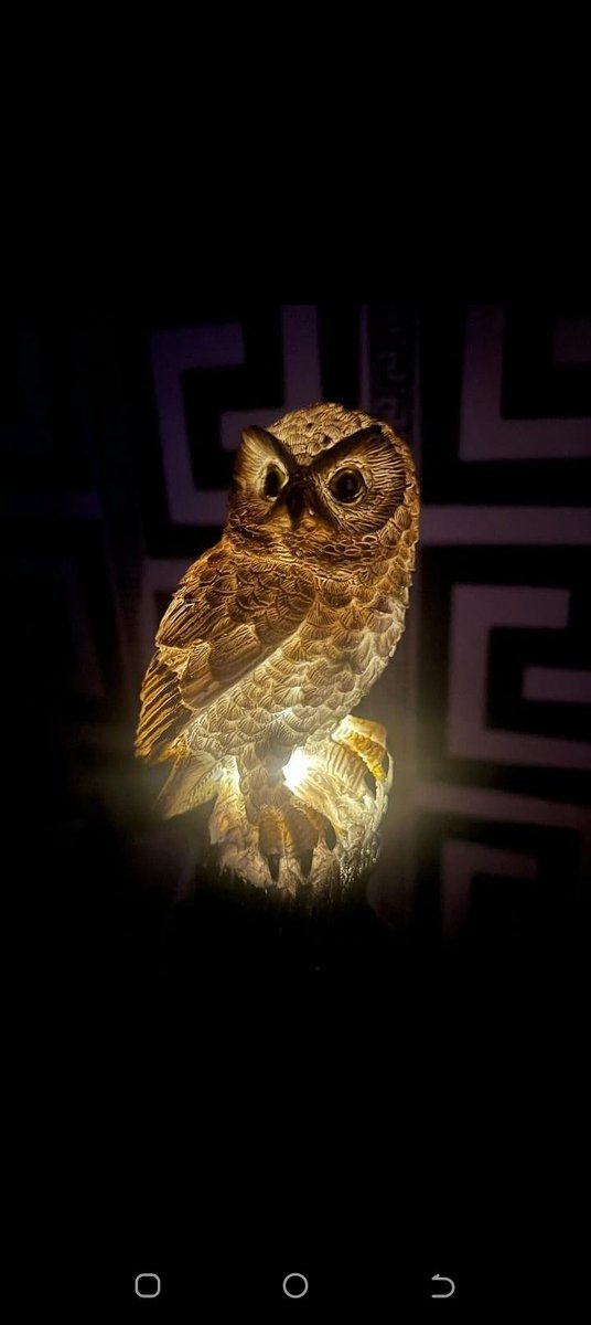 ClasicEquipment's tweet photo. I AM SOLAR!! Solar Owl light. Pick me up.
Ksh 2,500 per pc.
Has automatic switching.
Call/text/WhatsApp 0721275514.
#solarowllight #owllight #solargardenlightsoutdoorhiglights #solargardenlighting #solarlighting https://t.co/5veDa59V6Z