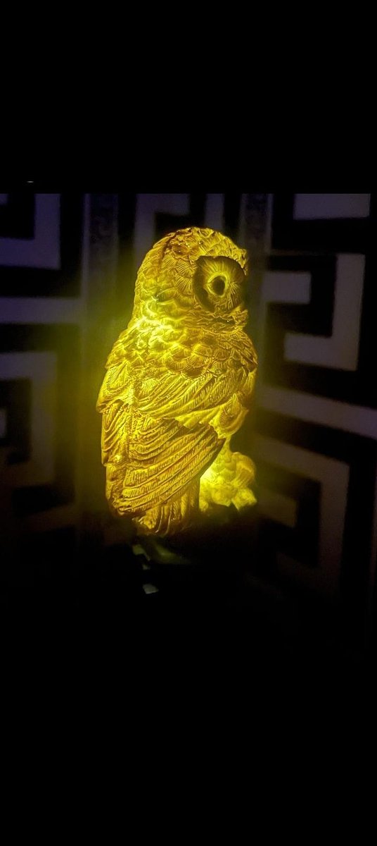 ClasicEquipment's tweet photo. I AM SOLAR!! Solar Owl light. Pick me up.
Ksh 2,500 per pc.
Has automatic switching.
Call/text/WhatsApp 0721275514.
#solarowllight #owllight #solargardenlightsoutdoorhiglights #solargardenlighting #solarlighting https://t.co/5veDa59V6Z