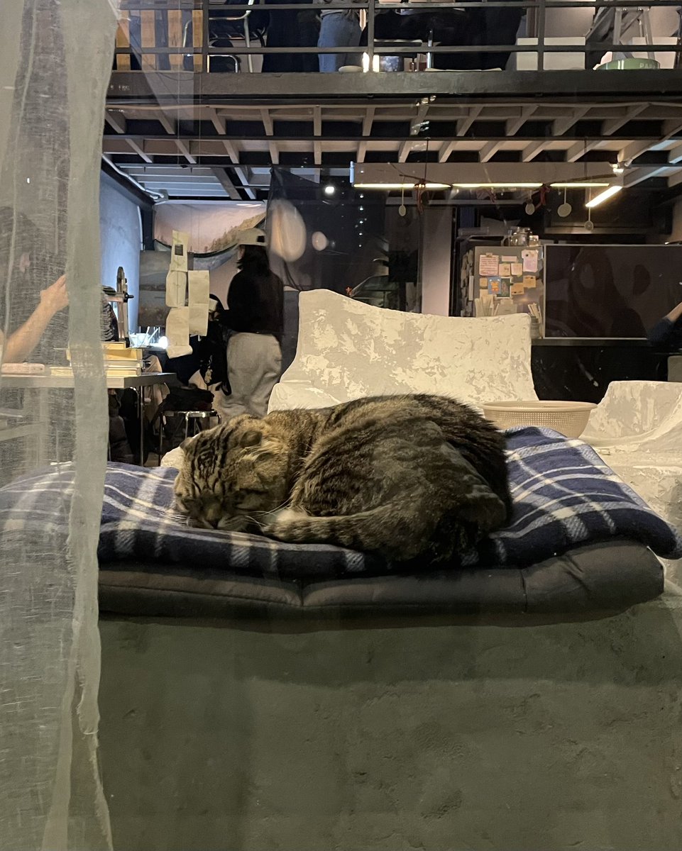 jinchoda's tweet photo. 문래 나들이🐾 https://t.co/dfh58VAxVf