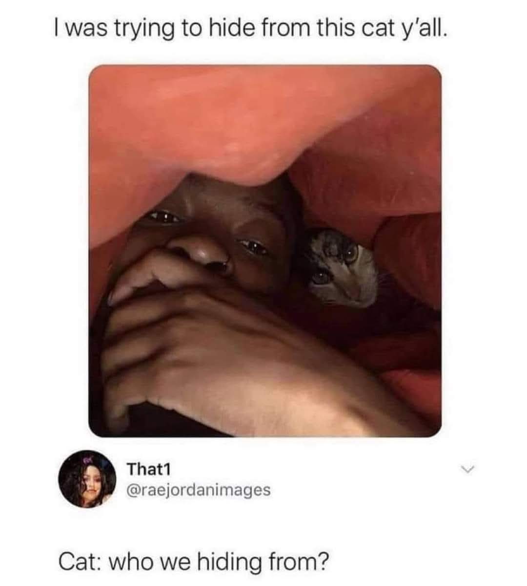 Amazing Facts tweet media