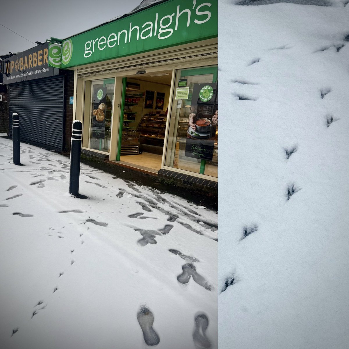 Iain Cash (@iaincash) on Twitter photo Nowet stops the birds getting to the pie shop in Wigan, not even the snow! βοΈ <a href="/Greenhalghs/">Greenhalgh's Craft Bakery</a> Nowet stops the birds getting to the pie shop in Wigan, not even the snow! βοΈ <a href="/Greenhalghs/">Greenhalgh's Craft Bakery</a>
