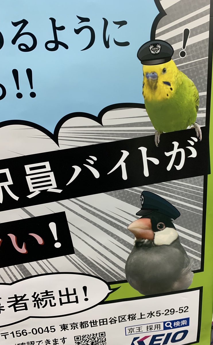 京王線の駅員バイト募集のポスターに文鳥駅員とインコ駅員がいてほっこり。 