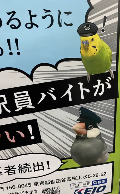 京王線の駅員バイト募集のポスターに文鳥駅員とインコ駅員がいてほっこり。 
