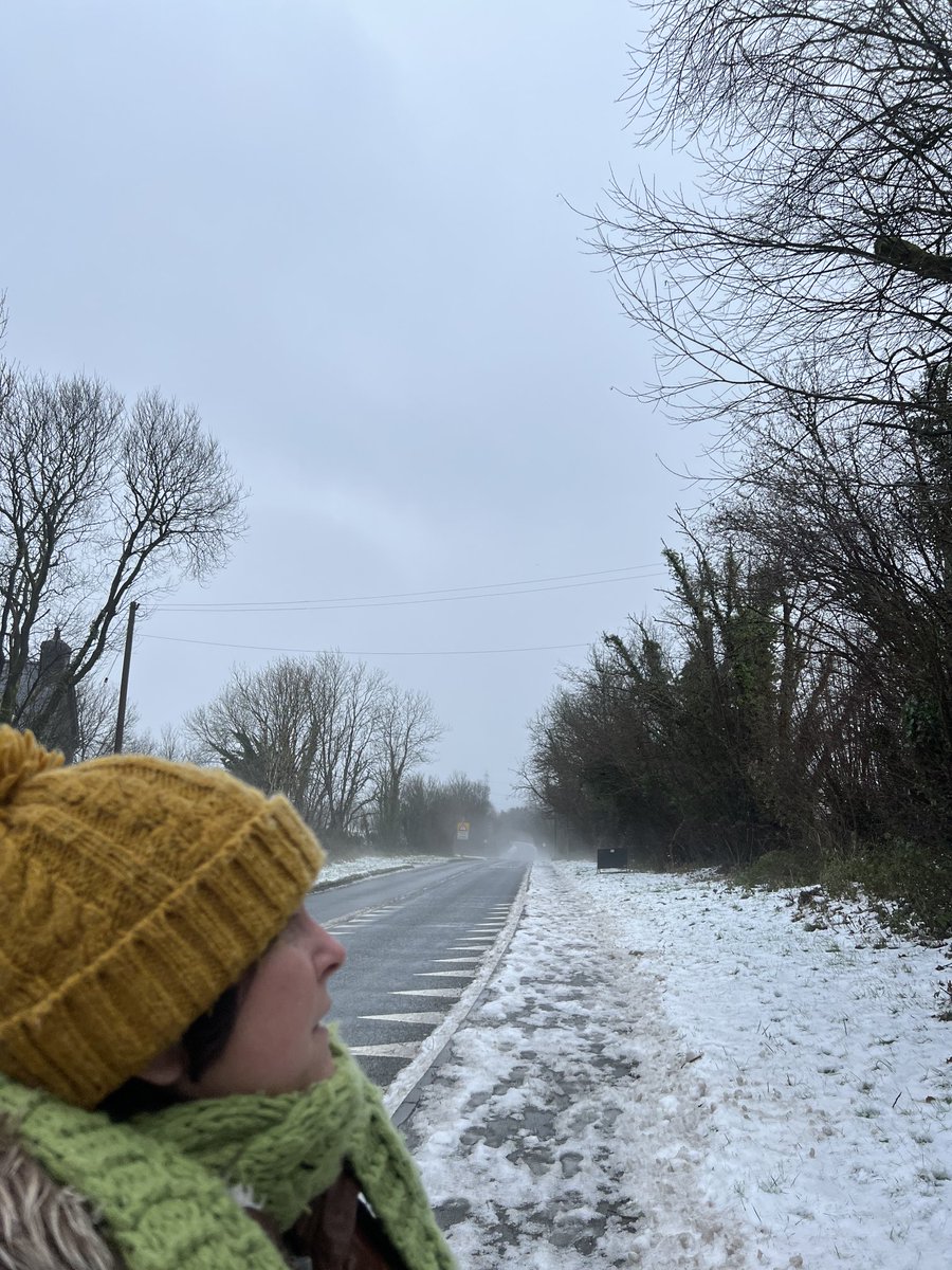 Sarah Evans tweet media