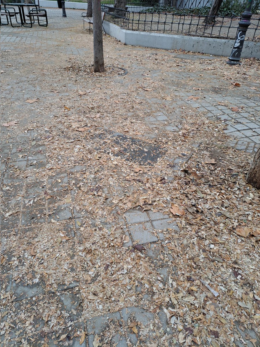 Celakanta's tweet photo. @Lineamadrid la plaza de peñuelas,  en arganzuela está hecha un estercolero. Por favor, limpienla https://t.co/pf1Zj8hUzr