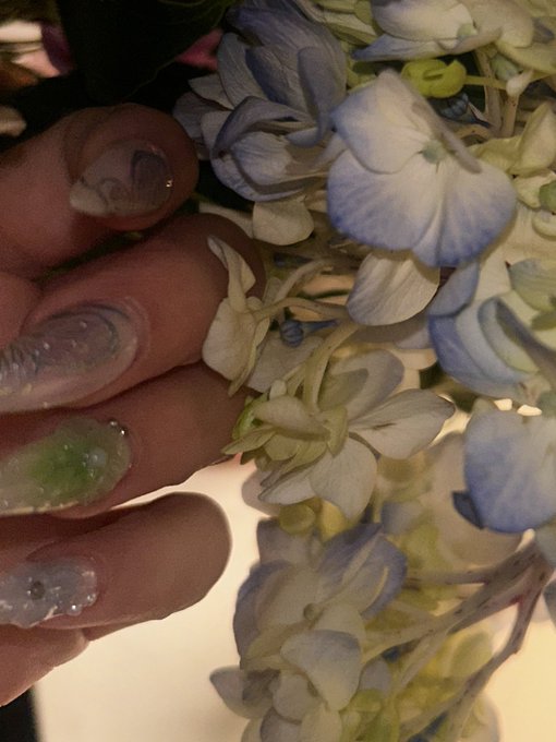3 pic. flowers of the week <333 https://t.co/fAlK8sOgh2
