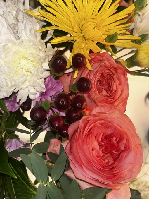 2 pic. flowers of the week <333 https://t.co/fAlK8sOgh2
