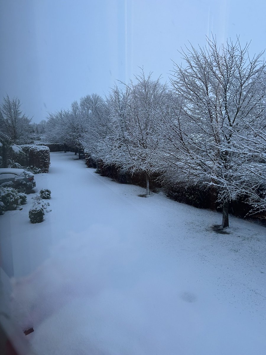 Yay! It has snowed, I can’t wait to go outside to play and make a snowbear 🌨️☃️