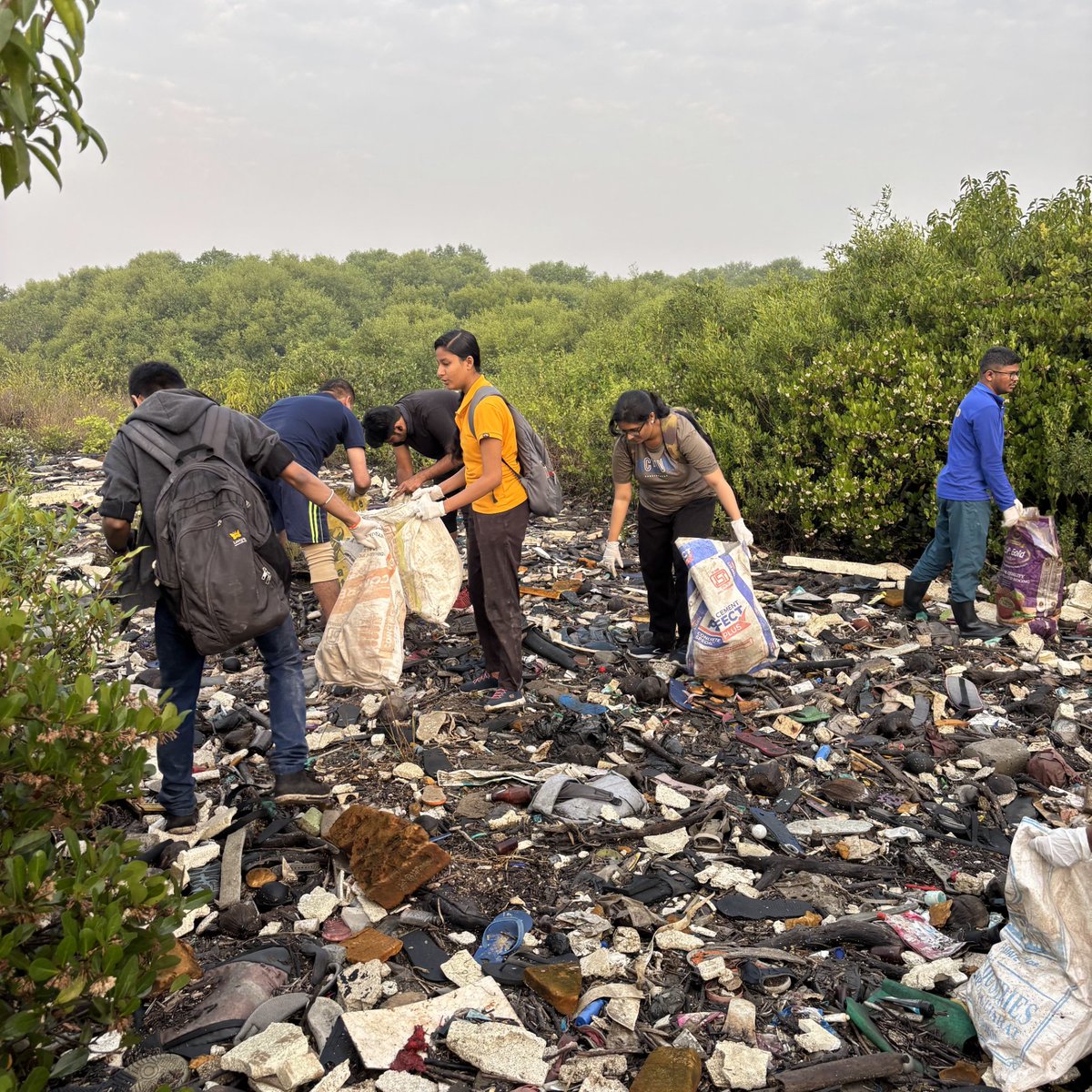 dharmeshbarai's tweet photo. Week 229 # MangrovesCleanup Drive
Woww what a star of the year
it’s essential for every individual to stop littering and dispose of waste in the right dustbins. We all must cultivate love for our planet and recognize our collective responsibility to keep it clean https://t.co/CbqlZkk7Go
