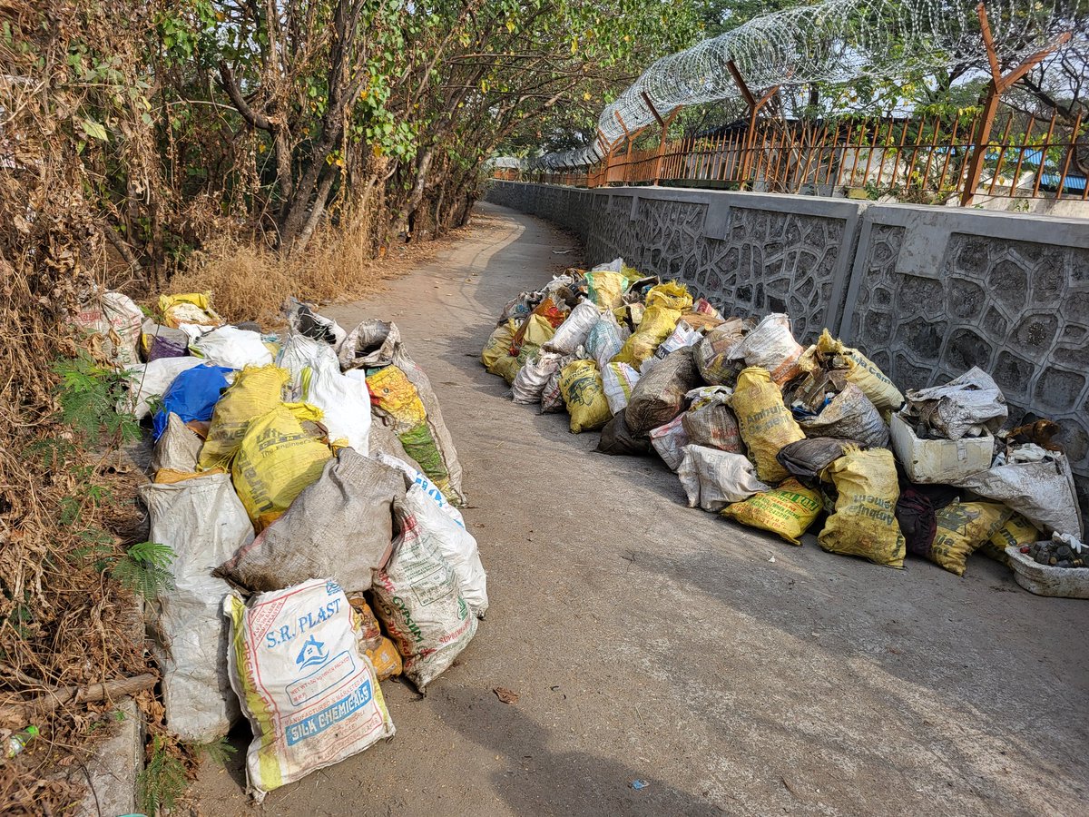 dharmeshbarai's tweet photo. Week 229 # MangrovesCleanup Drive
Woww what a star of the year
it’s essential for every individual to stop littering and dispose of waste in the right dustbins. We all must cultivate love for our planet and recognize our collective responsibility to keep it clean https://t.co/CbqlZkk7Go