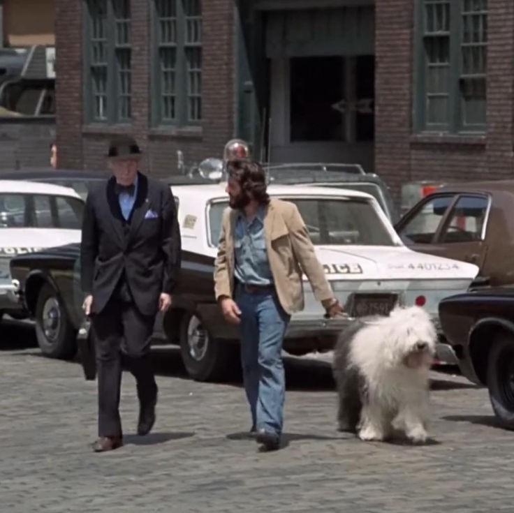 carmy⁸¹ tweet media