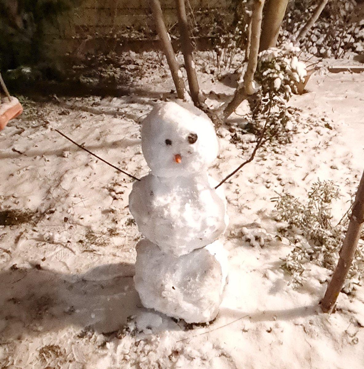 It became so rare to see snow in Strasbourg. Fortunately, yesterday night we had this unique chance and did our best to enjoy it, just before the end of holidays.