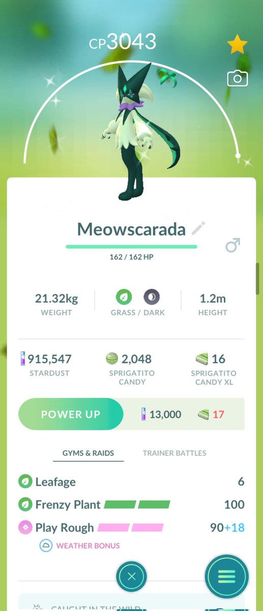 VerrellMax's tweet photo. Shiny Hundo on Community Day✨️
Currently Level: 46
#PokemonGO #Shundo #Sprigatito https://t.co/GPukuZwS5j