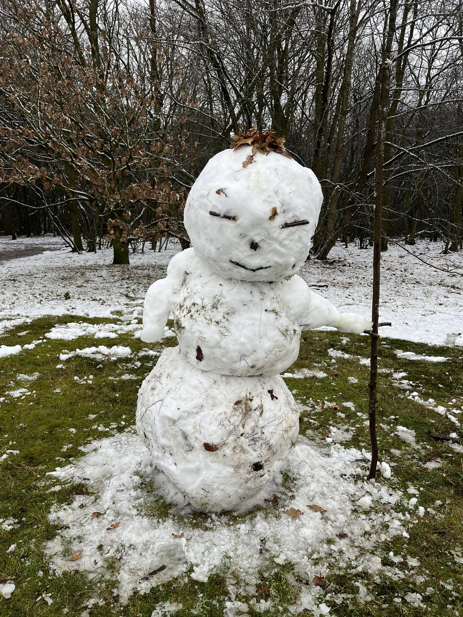 Zojuist gespot. Maar is dit nou een inclusieve sneeuwpop of rAc1sTiSchE stErROTyper1nG!!?