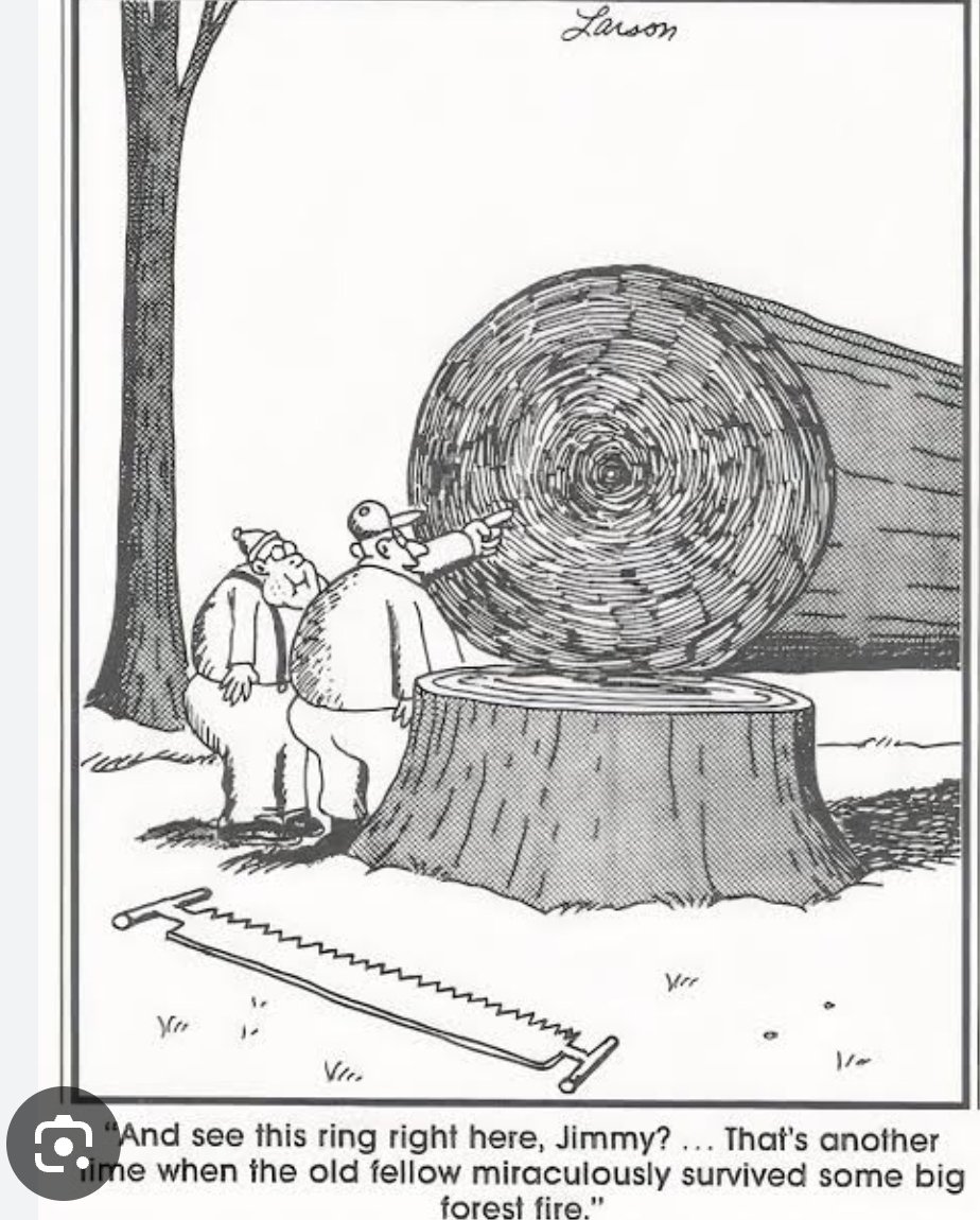 Aʟᴀɴ FiᴛᴢGᴇʀᴀʟᴅ - Practice Connections Advisory tweet media