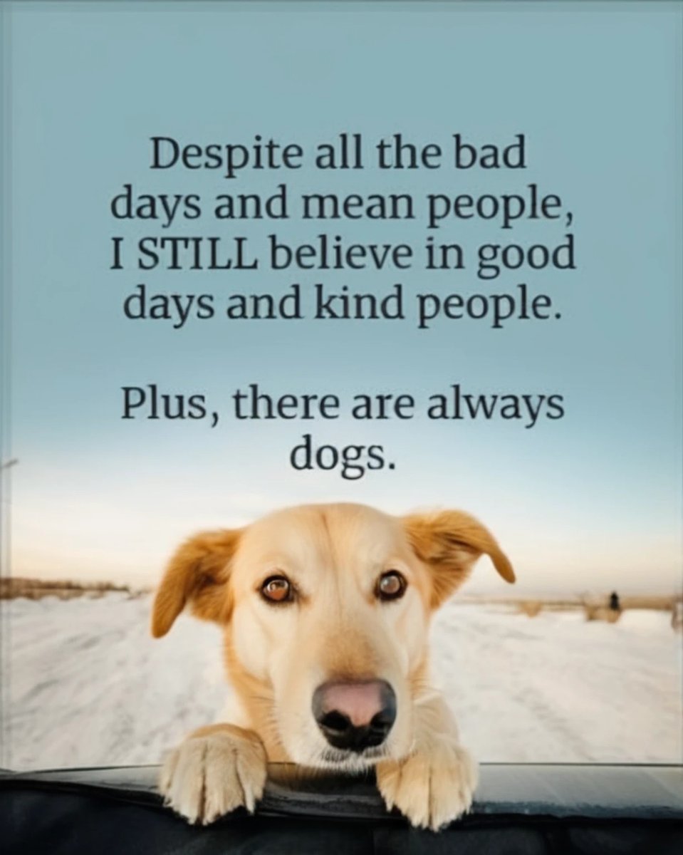 DogLovers03's tweet photo. https://t.co/AyFWT8J6Gp