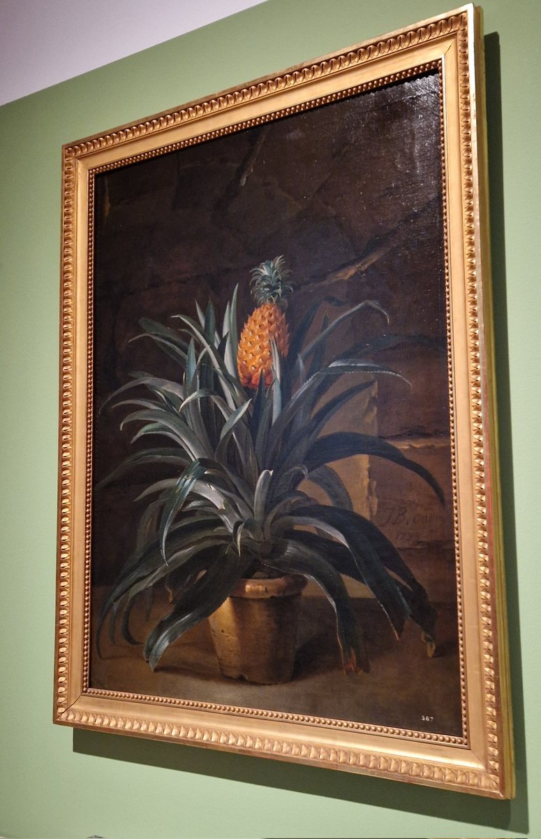 Alex_Auctioneer's tweet photo. Yesterday's visit to the Science Museum's Versailles: Science and Splendour exhibition. 

The picture of the pineapple celebrated the first grown in one of Versailles's hothouses. The first pineapple gifted to Louis XV was on Christmas day in 1733 🍍 https://t.co/cO0YbWSijE