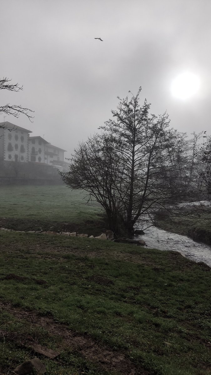 PanxaPlena's tweet photo. Navarra. ♥️ https://t.co/q1lSsYRNWX