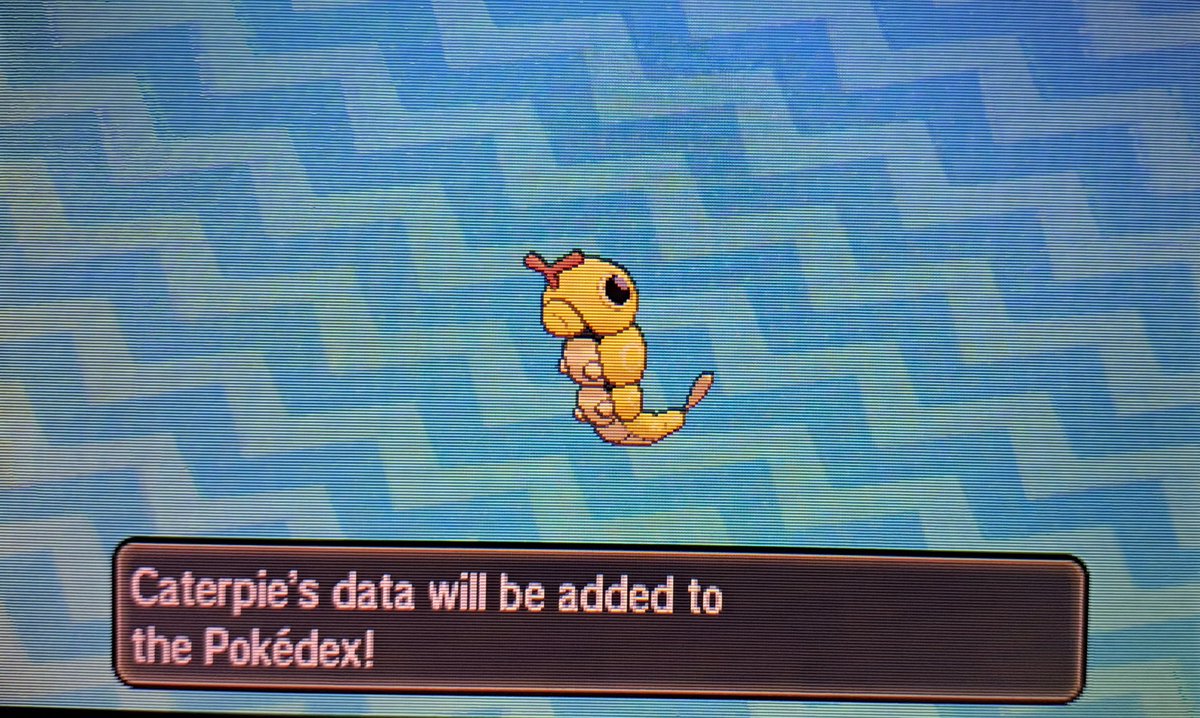 j3tlite_streams's tweet photo. First shiny pokémon of 2025 ✨️

This was my first time SOS hunting, but this golden bug showed up very quickly, after only 53 pokémon called!

One step closer to having a shiny pokémon in every pokémon game I own! 

#shinypokemon #shiny #pokemon #shinyhunt #shinyhunting https://t.co/YGxwxtd2LO