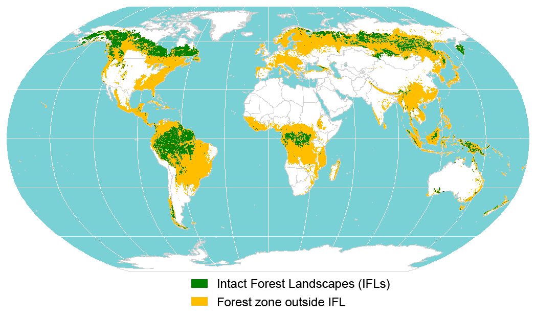 [#Ecologie][#Climat] Carbone, oxygène, azote, eau... Les forêts primaires jouent un rôle crucial dans les cycles biogéochimiques majeurs, contribuant à la régulation des écosystèmes et à la stabilité climatique. Le peu qu'il en reste doit être préservé sans concession.