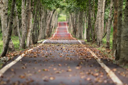 CheN74398's tweet photo. Wellness changes everything https://t.co/9tBhADoDnx