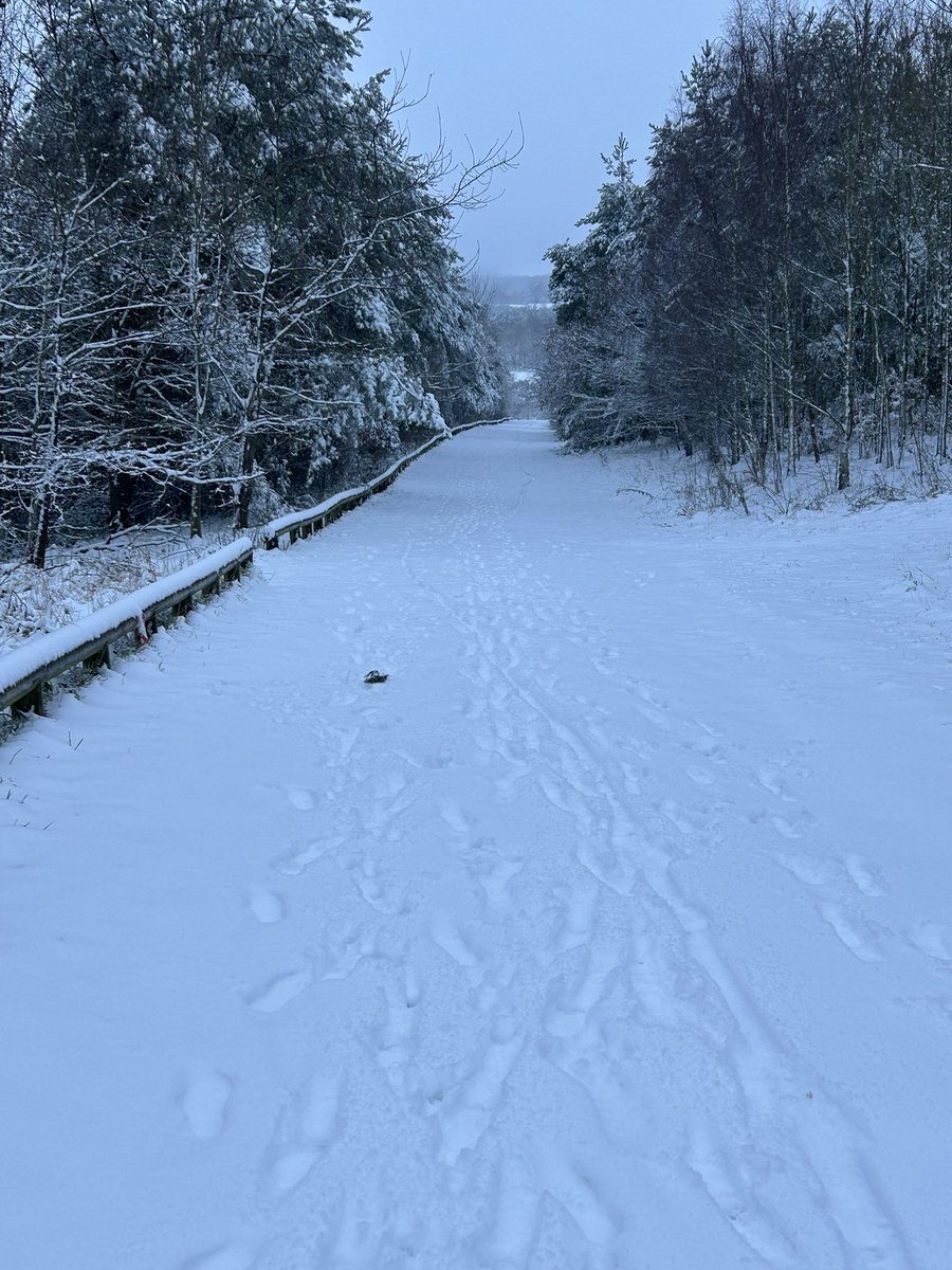 John Widdowson tweet media