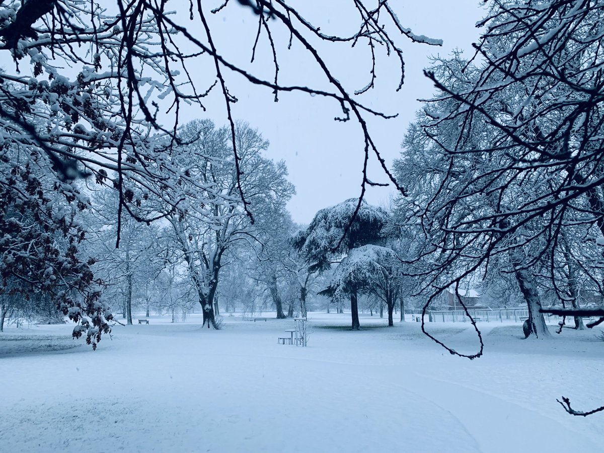 Jo Woolley (@joyelloow) on Twitter photo It’s snowed!!! ❄️ Some snowy scenes in Adwick Le Street from earlier today… <a href="/Hudsonweather/">Paul Hudson</a> <a href="/EmmanuelleLhoni/">Emmanuelle Lhoni</a> @katerinabbc It’s snowed!!! ❄️ Some snowy scenes in Adwick Le Street from earlier today… <a href="/Hudsonweather/">Paul Hudson</a> <a href="/EmmanuelleLhoni/">Emmanuelle Lhoni</a> @katerinabbc