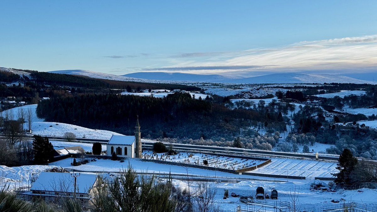 seonaidh mackenzie tweet media