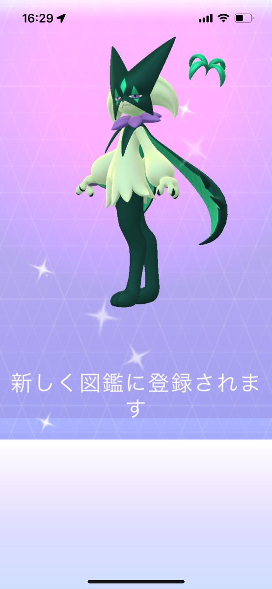 ニャオハDAY〜