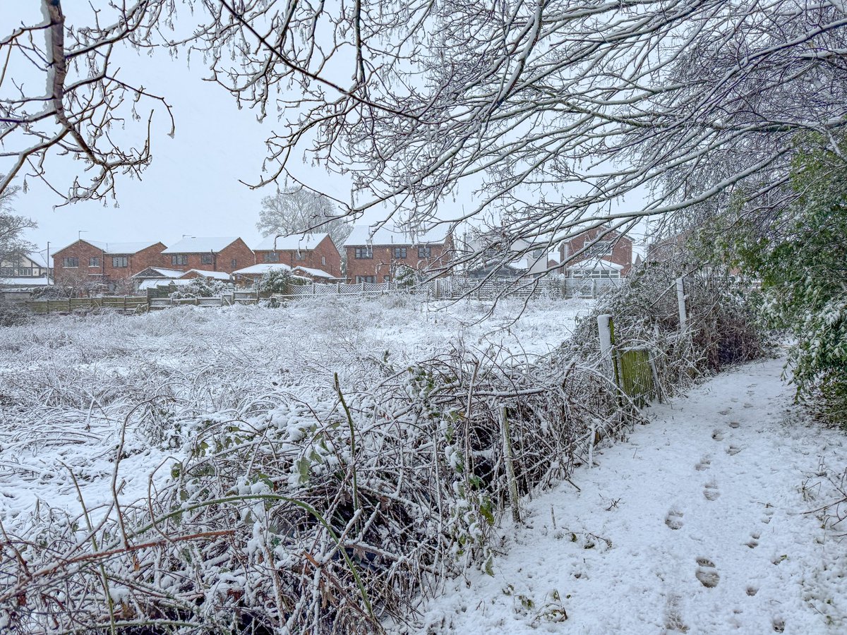 Stuart D tweet media