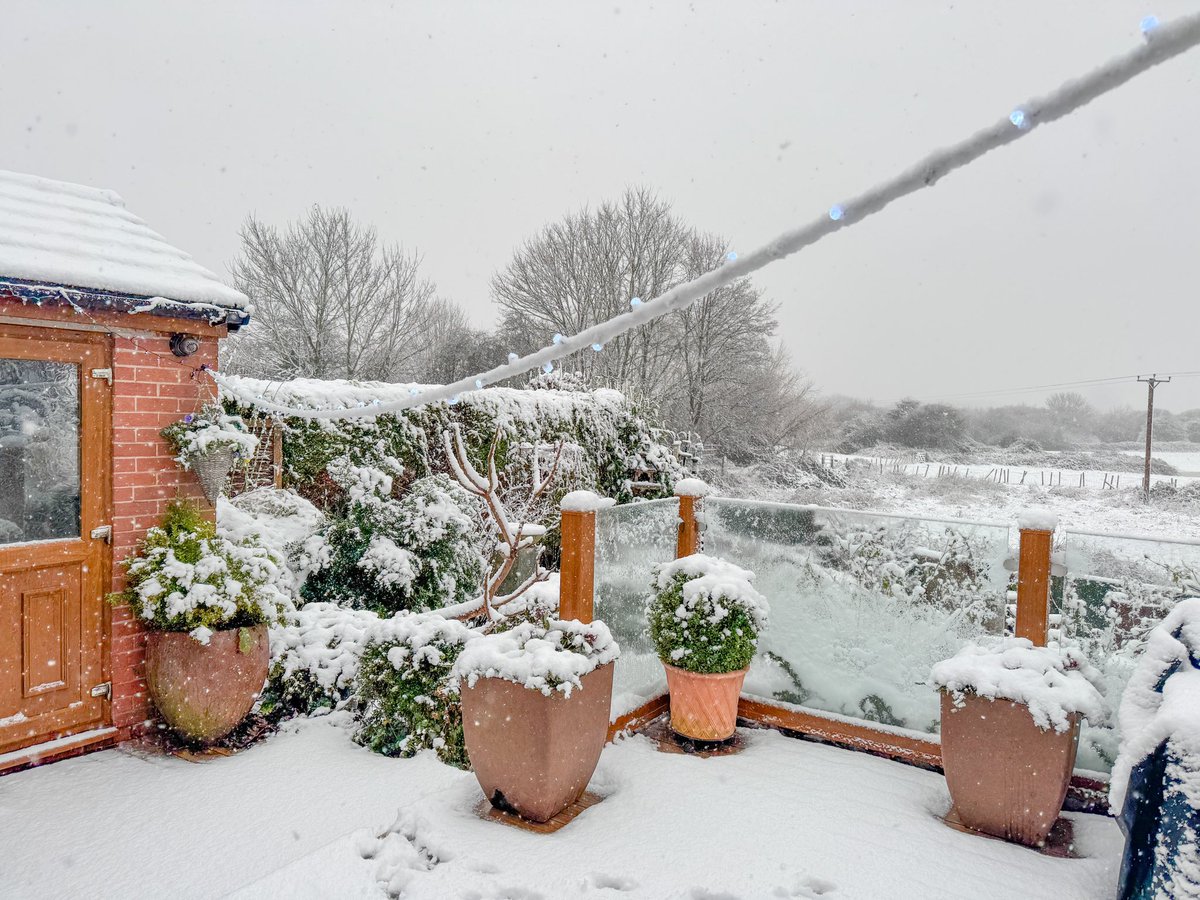 Stuart D tweet media