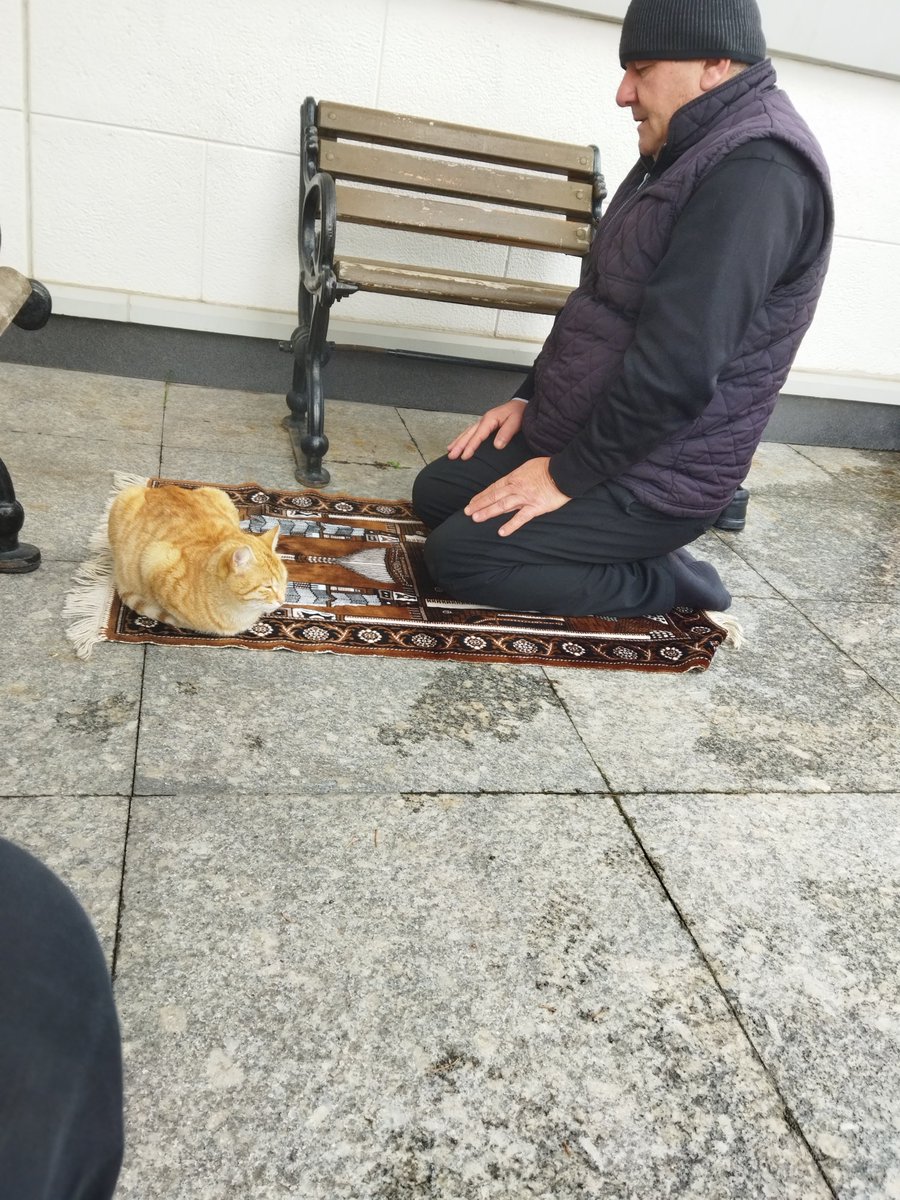 Burhan (@fettahefkarl) on Twitter photo 