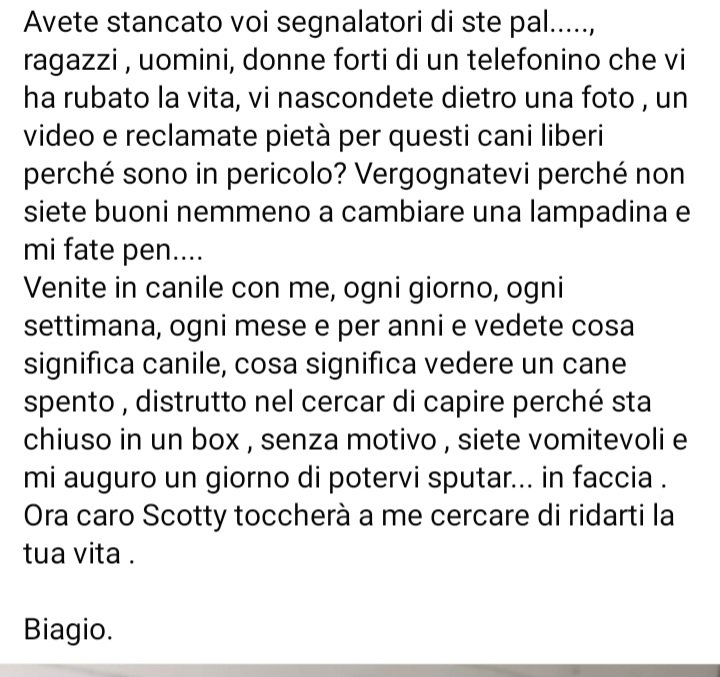 zampa_qua's tweet photo. URGENTISSIMO 🆘️🆘️🆘️🆘️🆘️☎️3488987177🐕leggete🔽"Prego il cielo ogni giorno di uscire di qua, che una mamma posi lo sguardo su di me."SCOTTY accalappiato e chiuso in un box freddo freddo😭REGALIAMOGLI QUESTO SOGNO SALVIAMOLO ADOTTATELO  #adotta https://t.co/lxphyK46rB