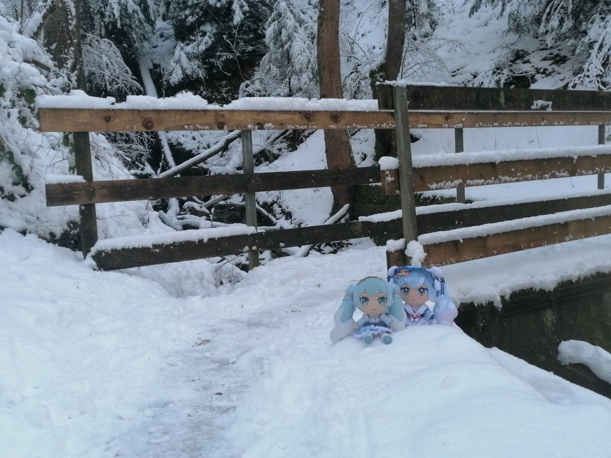 StefanPruner's tweet photo. 冬に雪が属しますね。
雪ミクと一緒にちょっと散歩に行ってきました。

#ぬいぐるみの時間
#雪ミク https://t.co/iwZ4BKkyH7