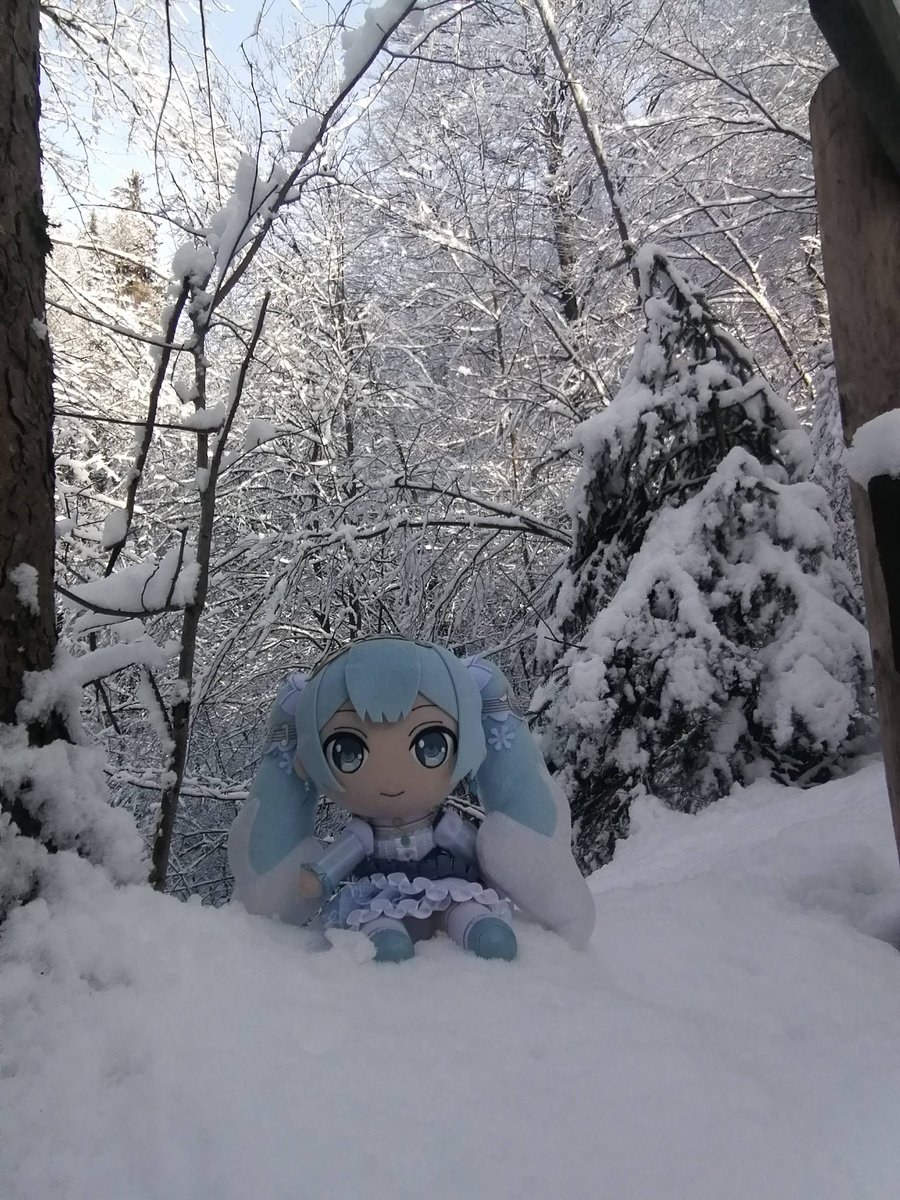 StefanPruner's tweet photo. 冬に雪が属しますね。
雪ミクと一緒にちょっと散歩に行ってきました。

#ぬいぐるみの時間
#雪ミク https://t.co/iwZ4BKkyH7