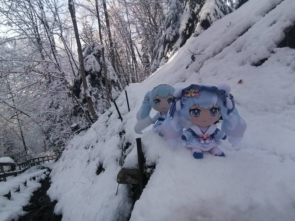 StefanPruner's tweet photo. 冬に雪が属しますね。
雪ミクと一緒にちょっと散歩に行ってきました。

#ぬいぐるみの時間
#雪ミク https://t.co/iwZ4BKkyH7