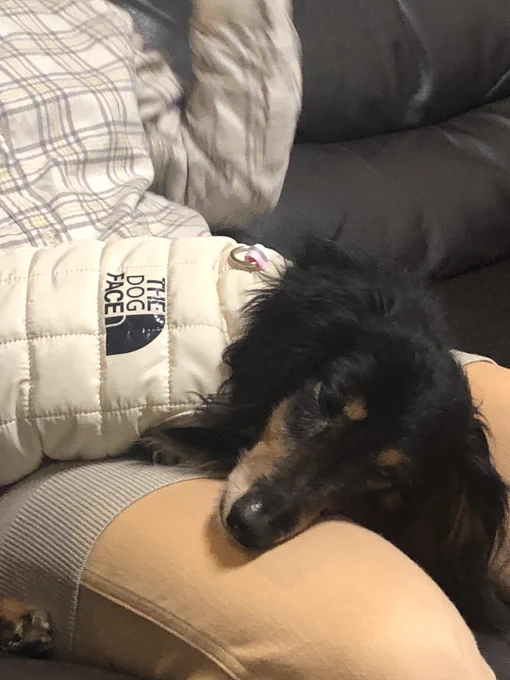 お家に帰る……毎度ながらいやだ～～～～毎日イッヌと一緒にいたいよ…;;;;;;