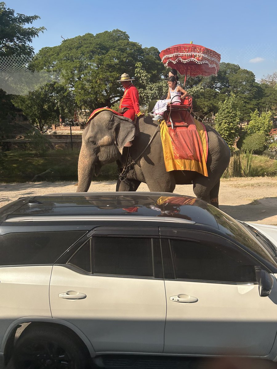 BuyPeron's tweet photo. タイ旅行楽しかった！
今回はアユタヤ遺跡も回ったよ。

帰ったばかりだけど、またすぐタイに行きたい。 https://t.co/y7vcbqJ8ar