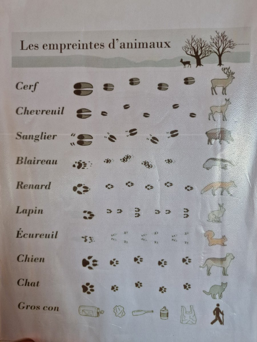 VisioCrop's tweet photo. Vu a la montagne. Tout aussi  valable dans nos campagnes lorsque l'on contemple les rives de routes en footing..... https://t.co/0ZE3rAEApa