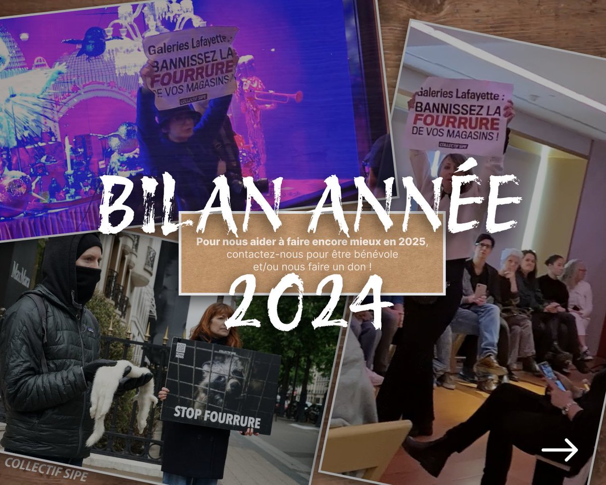 Collectif SIPE tweet media