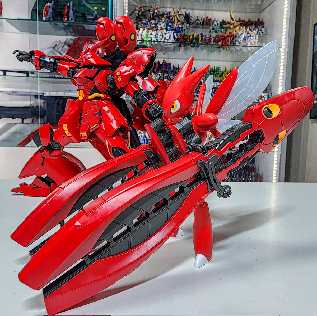 タイサ｢ゆけ！ハッサム！｣