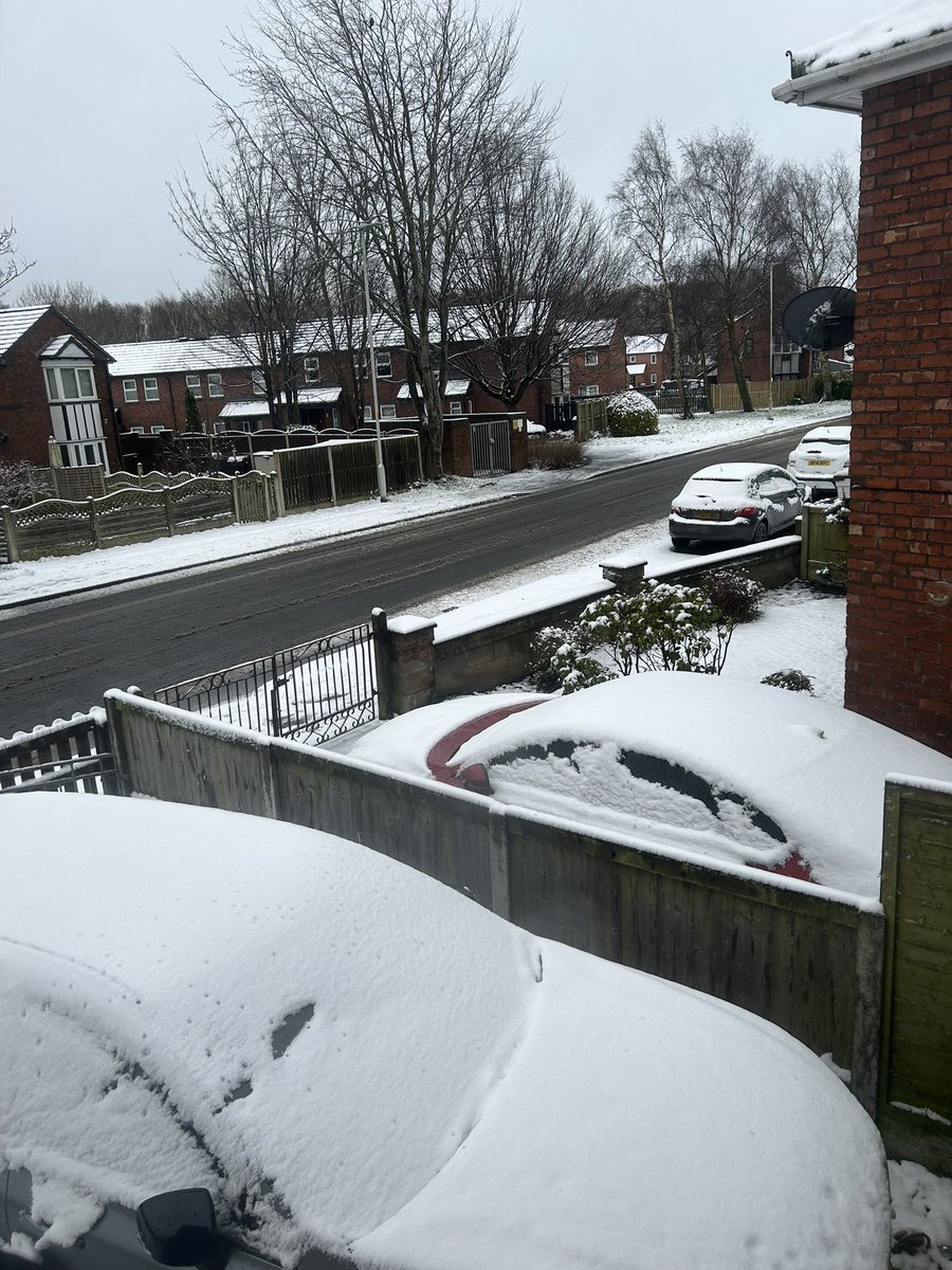 Cy_Husky's tweet photo. Snow day 😲 https://t.co/KxlkAp2ywW
