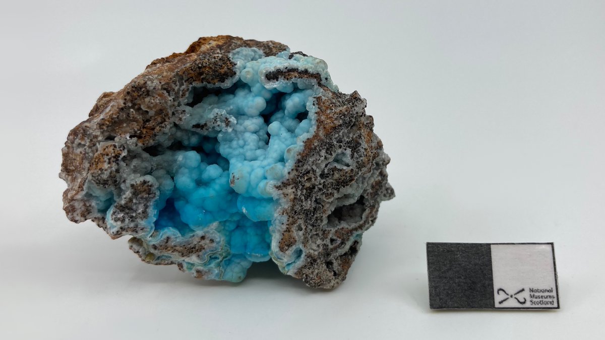 The Scottish Geology Trust tweet media