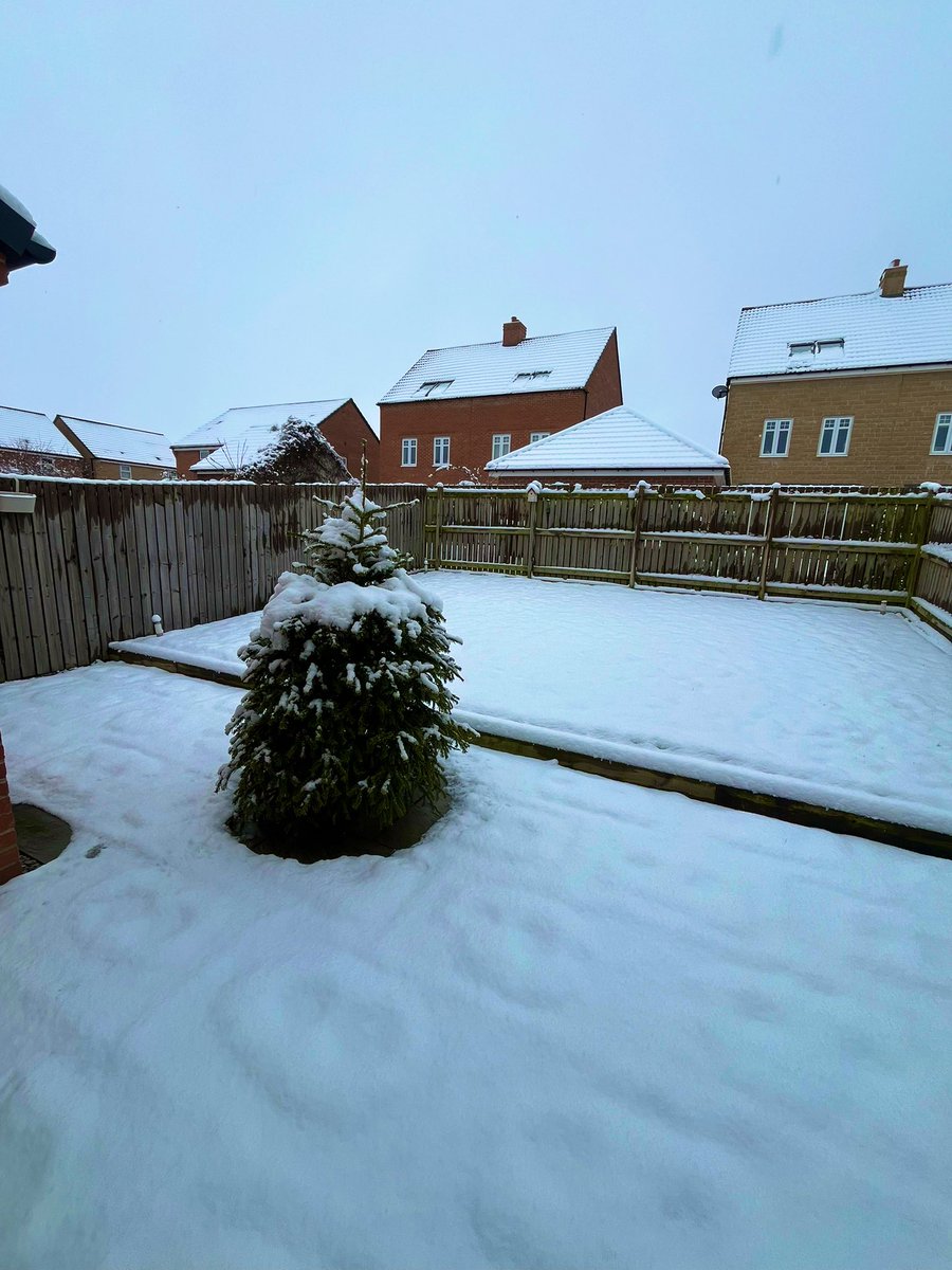 Think I’m going keep the tree 🎄☃️