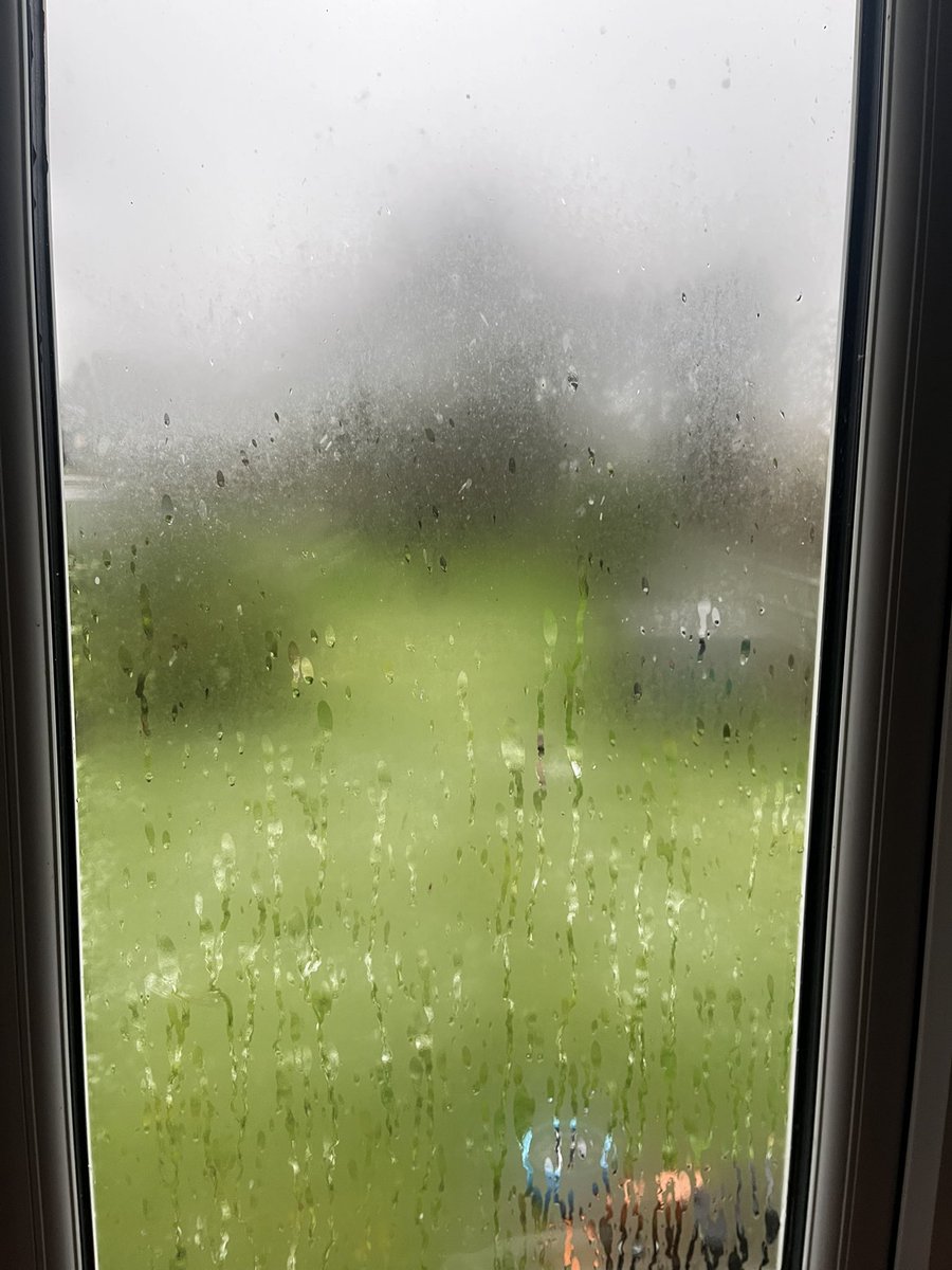 Humphrey Lean tweet media