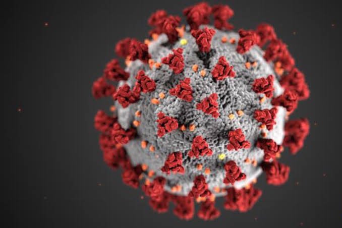 MugenyiHenry_'s tweet photo. A New virus called Human Metapneumovirus (HMPV) similar to Covid-19 has hit China.

#OneHealth #NAPHS 

https://t.co/mFwQRmUS8H https://t.co/FFRZ0sG99h